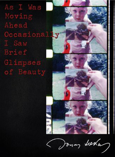 As I Was Moving Ahead Occasionally I Saw Brief Glimpses of Beauty (2000) (Rating 8,5) (OmeU) DVD9936