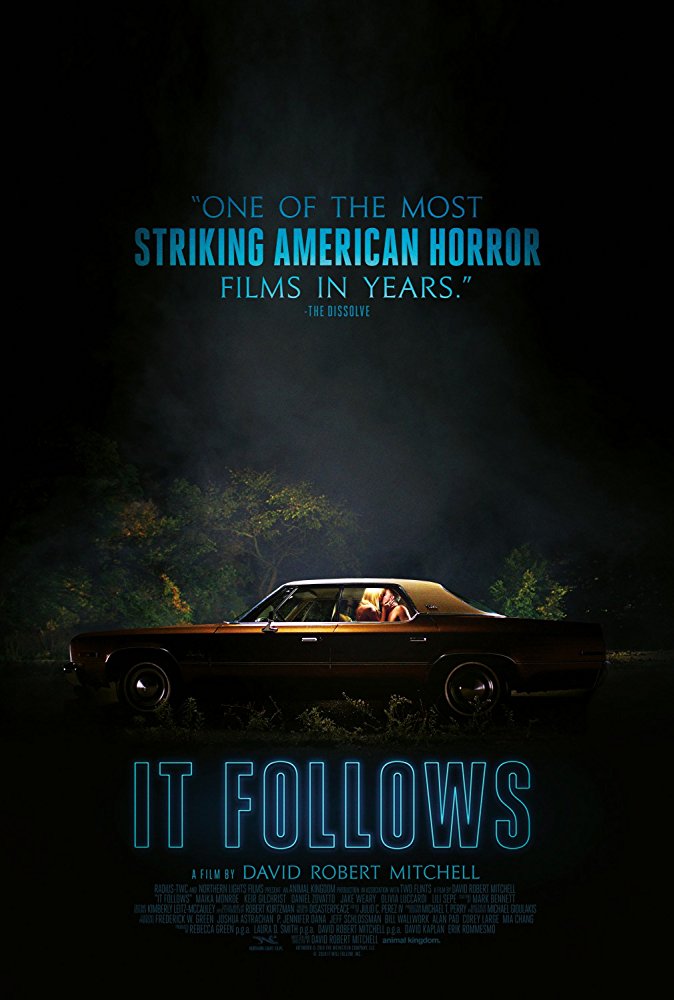 It Follows (2014) (Rating 7,5) DVD1876