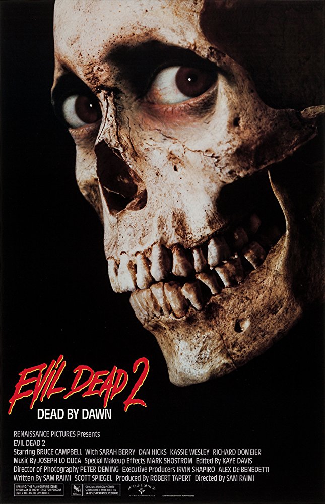 Tanz der Teufel 2 - Evil Dead 2 (1987) (Rating 7,9) DVD259