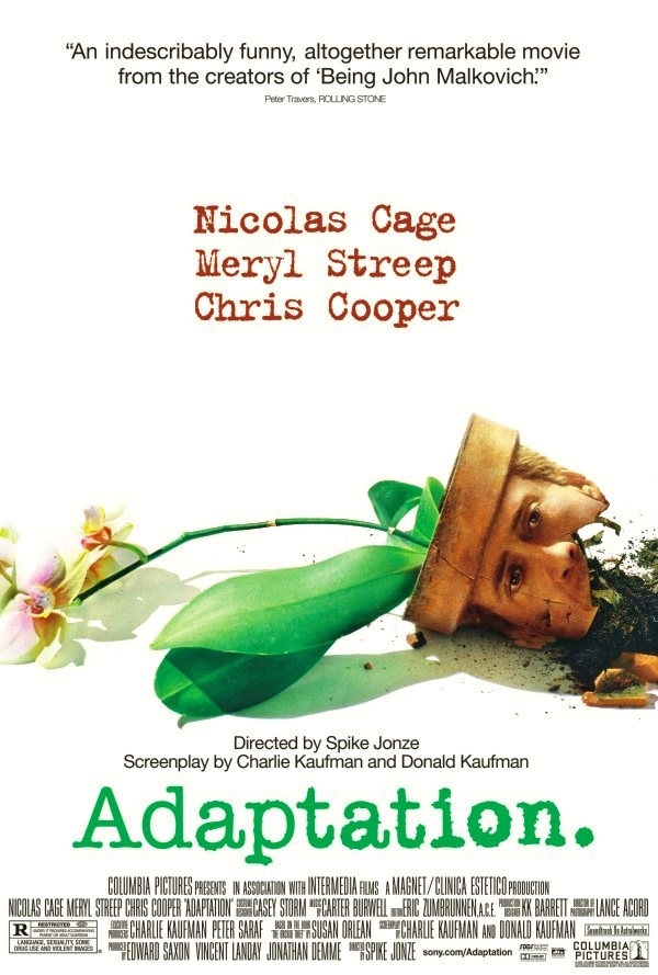 Adaption