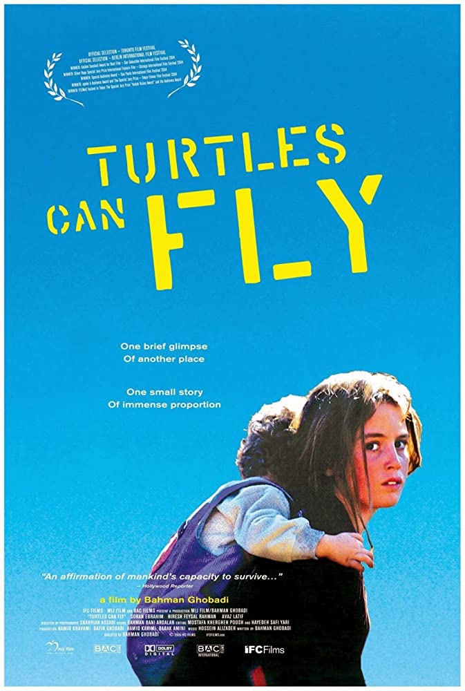 Turtles can fly