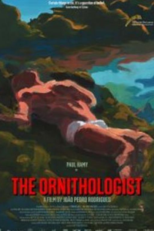 The Ornithologist (DVD soon!)