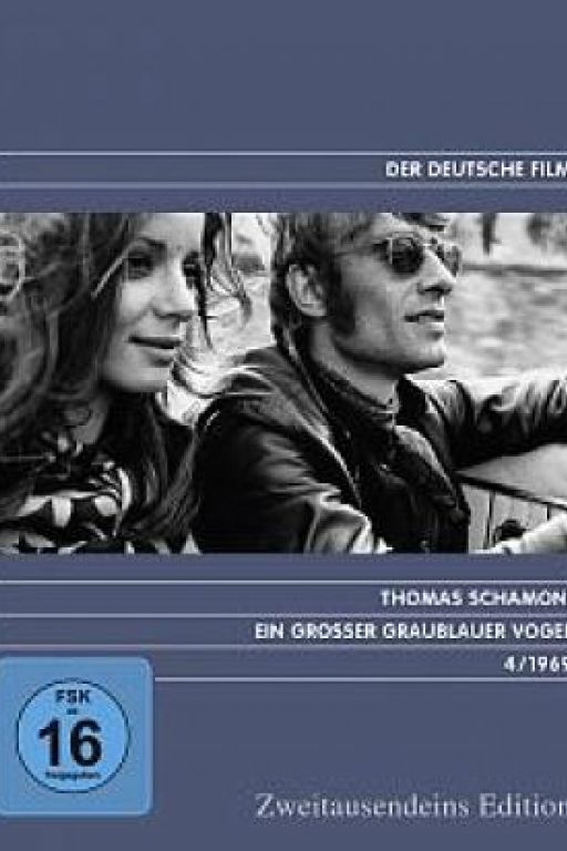 A Big Grey-Blue Bird - Ein grosser graublauer Vogel (Filmkunstbar Fitzcarraldo DVD5111)