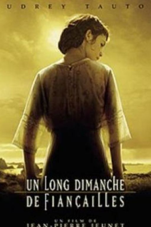 A Very Long Engagement - Mathilde - Un long dimanche de fiançailles DVD1935