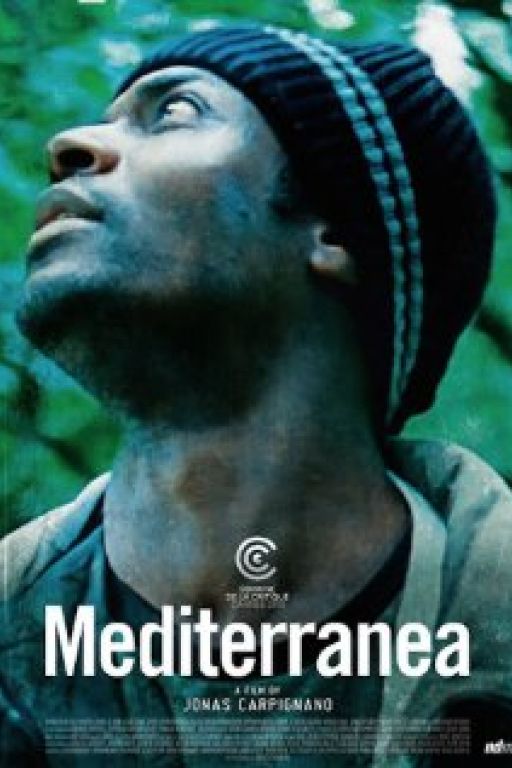Mediterranea
