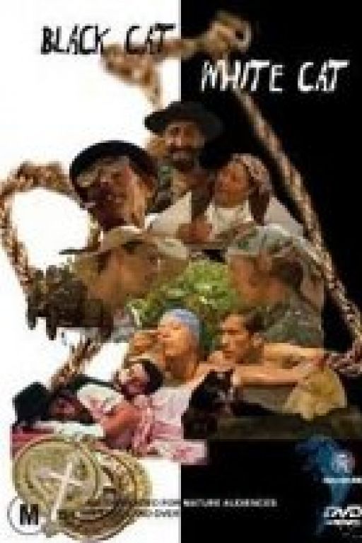 Black cat white cat - Schwarze Katze, weisser Kater - Crna macka, beli macor (Filmkunstbar Fitzcarraldo DVD9438)