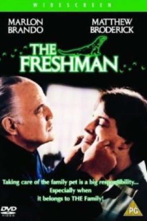 The Freshman (Filmkunstbar Fitzcarraldo DVD1446)