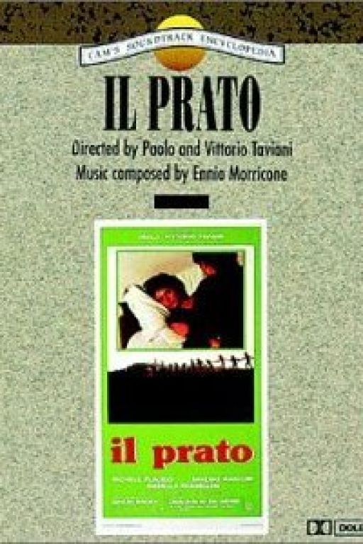  Die Wiese - Il prato