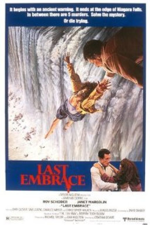 Tödliche Umarmung - Last Embrace (1979)