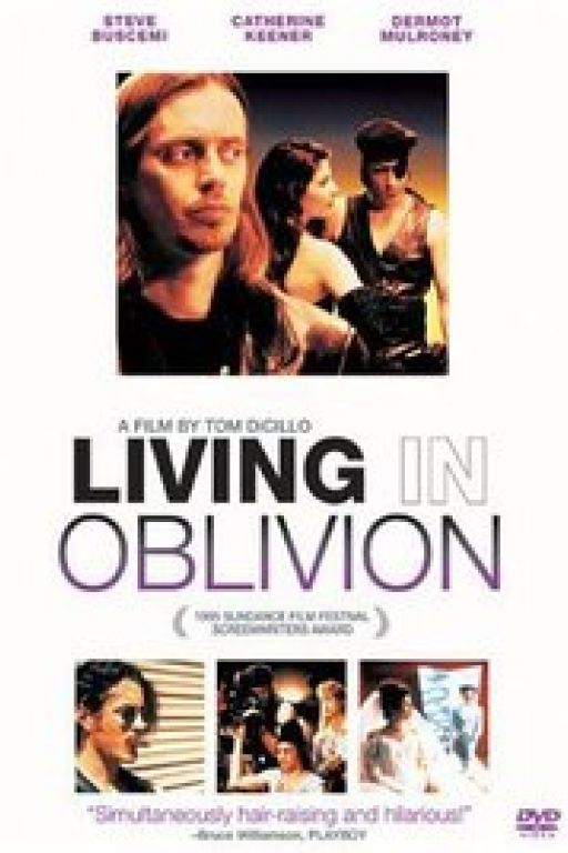  Living in Oblivion (1995)