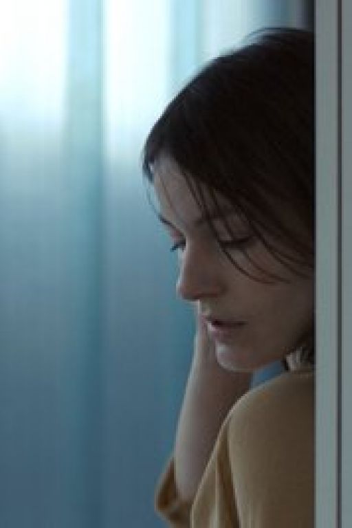 Wild (2016)
