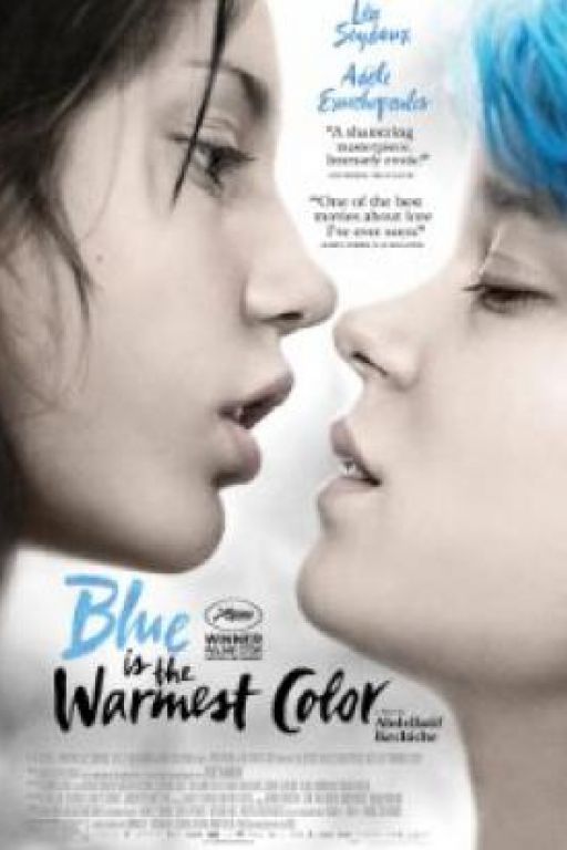 Blau ist eine warme Farbe - Blue is the warmest Colour - La vie d'Adèle - Chapitres 1 et 2 DVD8065