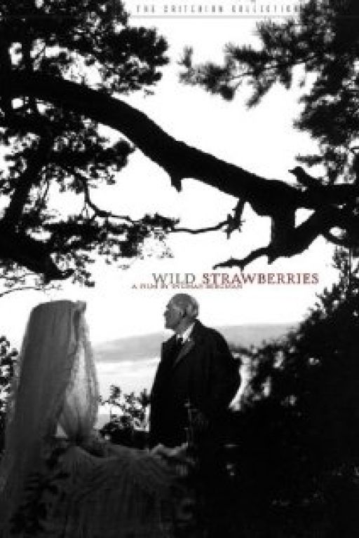 Wilde Erdbeeren