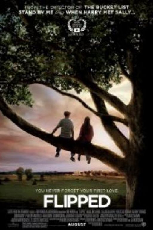 Verliebt und ausgeflippt - Flipped (OmeU) DVD5886