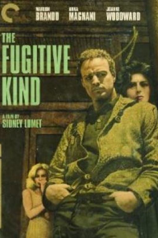 Der Mann in der Schlangenhaut - The fugitive kind (Code 1) (OmeU) DVD7622