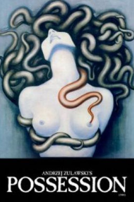 Possession (Filmkunstbar Fitzcarraldo DVD459)