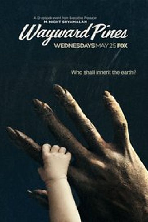 Wayward Pines DVD-