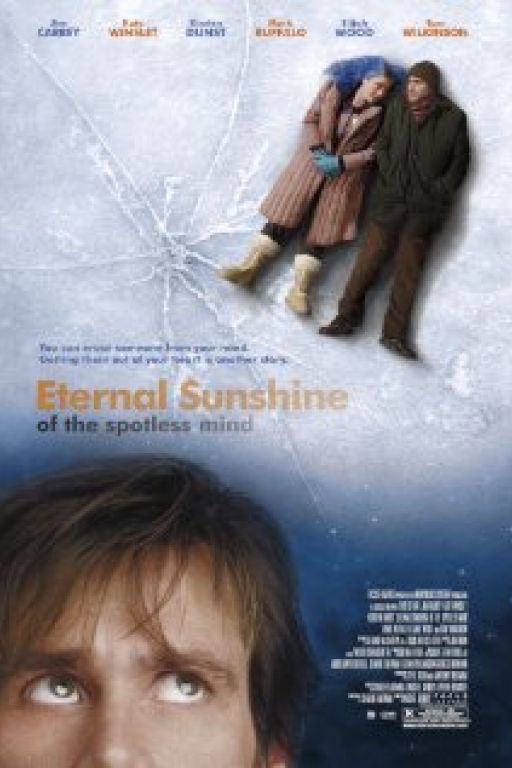 Vergiss mein nicht - Eternal Sunshine of the Spotless Mind