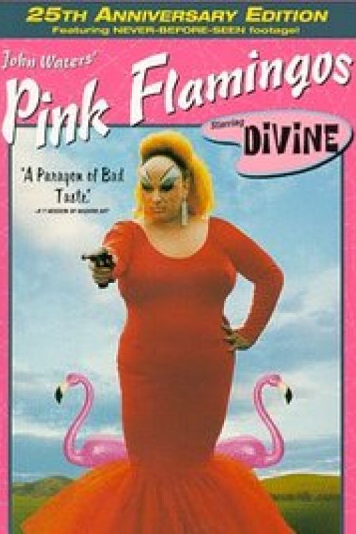  Pink Flamingos