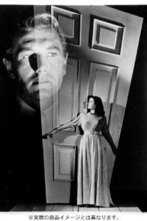 Secret beyond the door 