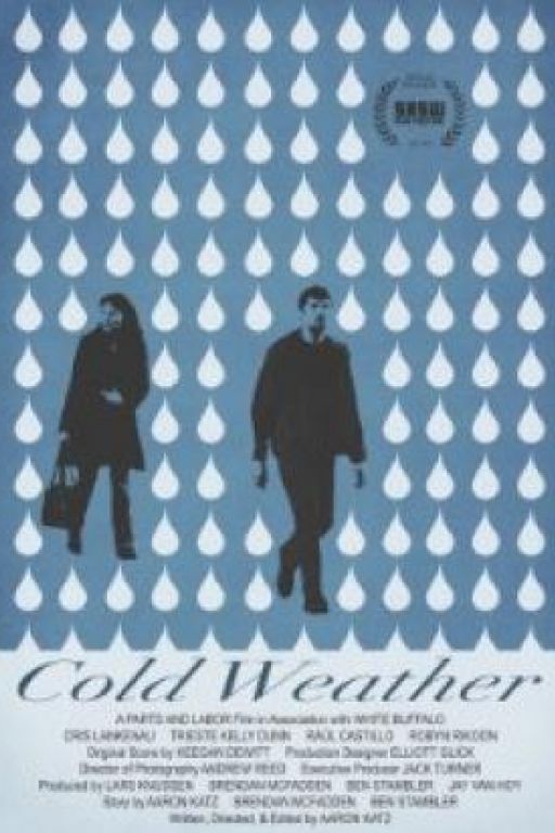 Cold Weather (Filmkunstbar Fitzcarraldo DVD3548)