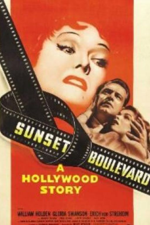 Boulevard der Dämmerung - Sunset Blvd. (Filmkunstbar Fitzcarraldo DVD929)