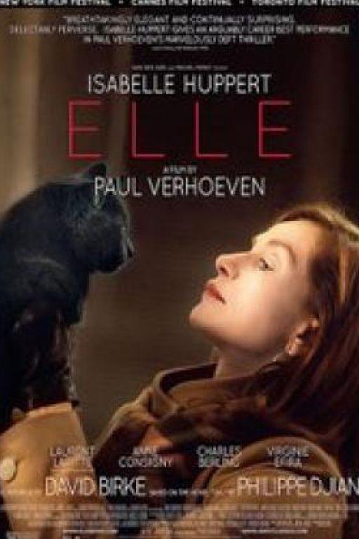 Elle (2016) (Filmkunstbar Fitzcarraldo DVD9912 engl. subt.)