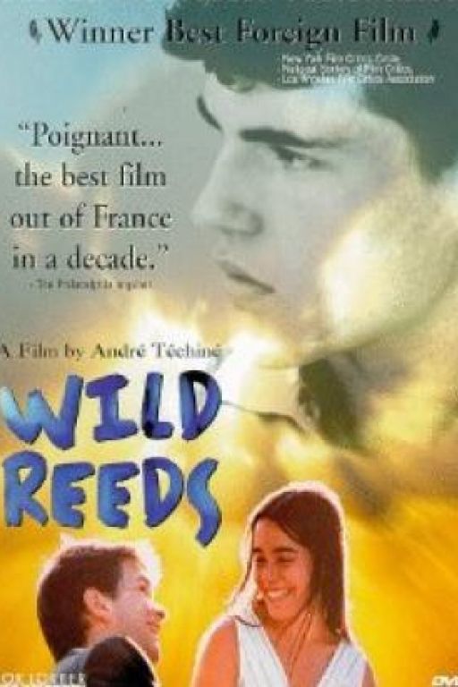 Wild reeds - Wilde Herzen - Les roseaux sauvages (OmeU) DVD8904
