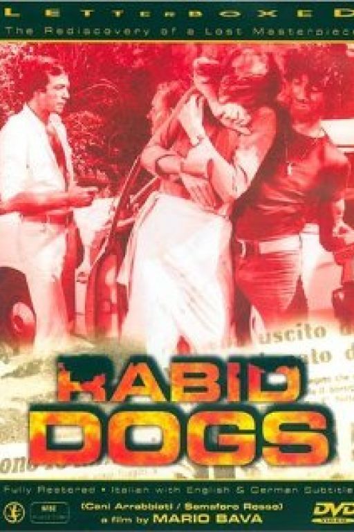  Wild Dogs - Cani arrabbiati 