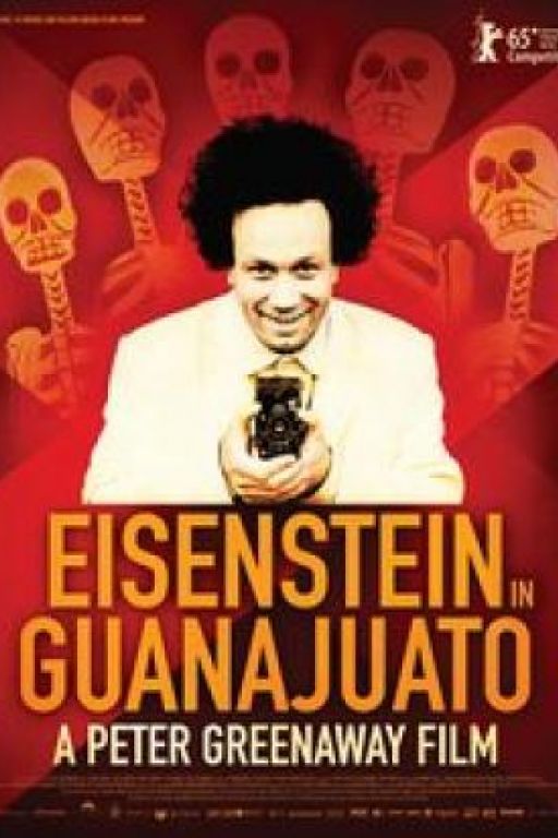 Eisenstein in Guanajuato DVD5960