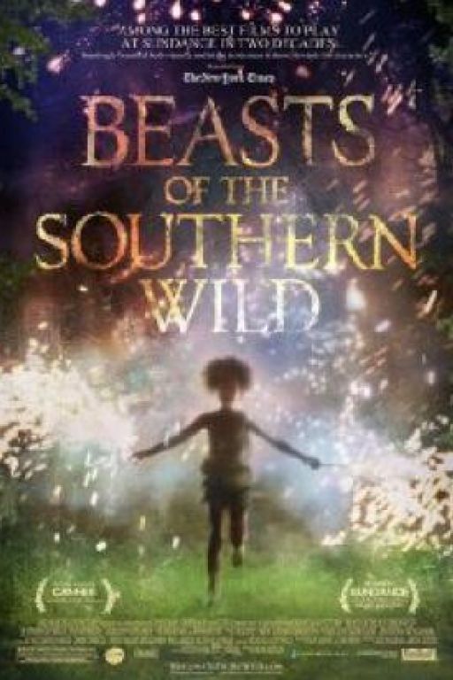 Beasts of the southern wild DVD6954