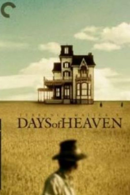 In der Glut des Südens - Days of Heaven DVD3506