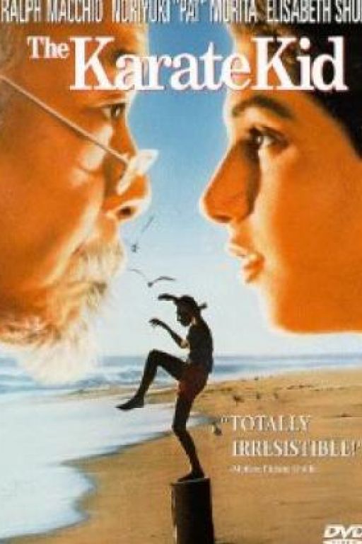 Karate Kid - The Karate Kid DVD8549