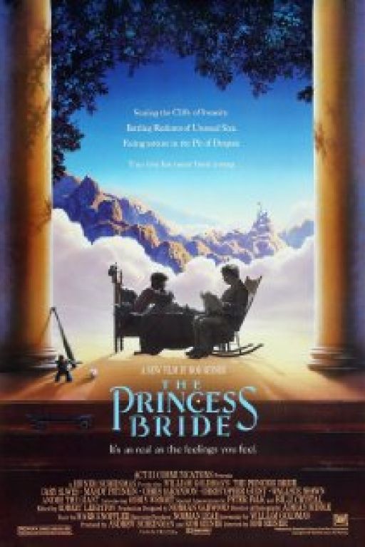 Die Braut des Prinzen – The princess bride