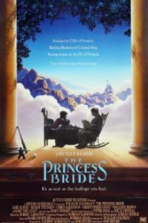 Die Braut des Prinzen - The Princess Bride DVD1827
