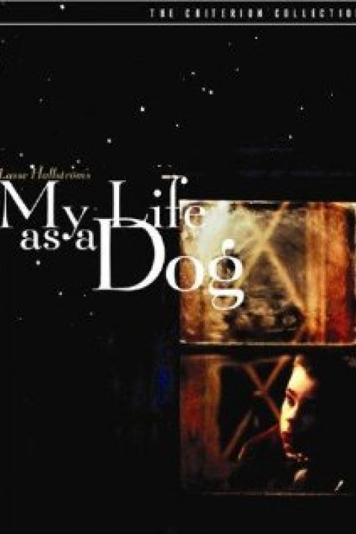 Mein Leben als Hund - Mitt liv som hund