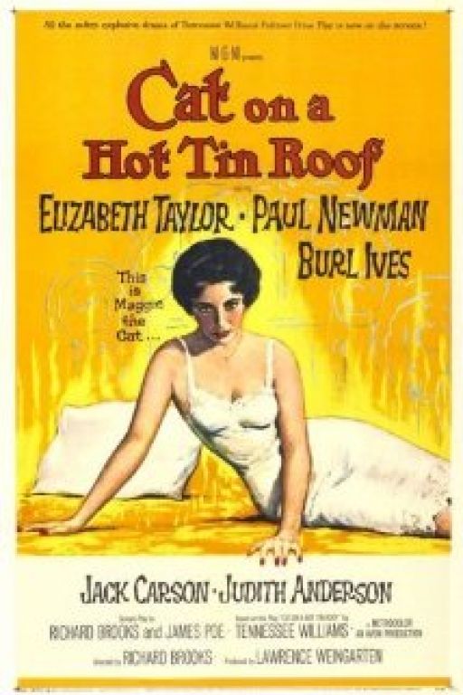 Die Katze auf dem heissen Blechdach – Cat on a hot tin roof