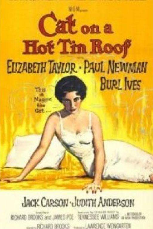 Die Katze auf dem heissen Blechdach - Cat on a Hot Tin Roof DVD1147