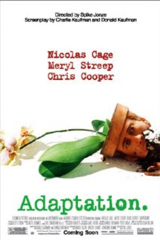 Adaption