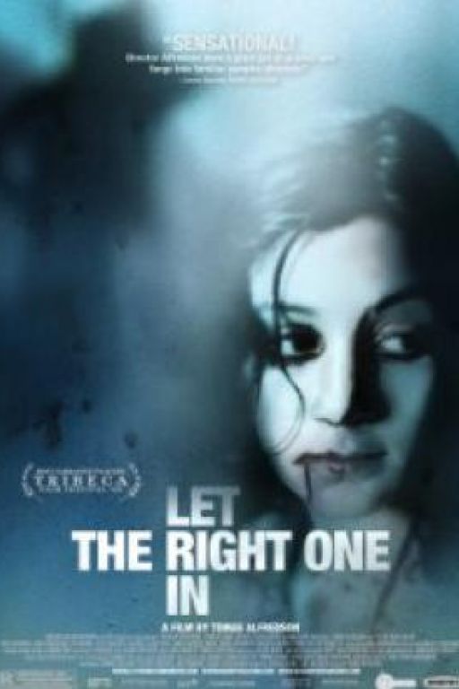 Let The Right One In - So finster die Nacht - Låt den rätte komma in (Rating 9,0) DVD8645