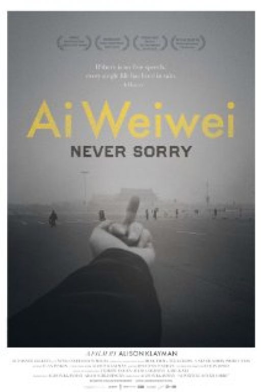 Ai Weiwei: Never sorry