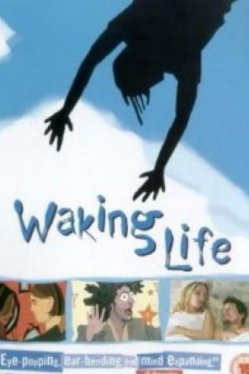 Waking Life (OmeU) DVD3188