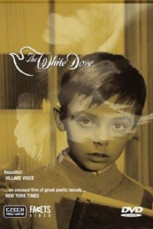 The White Dove - Holubice