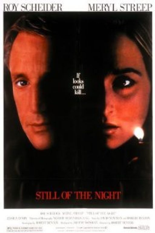 In der Stille der Nacht - Still of the Night (1982)