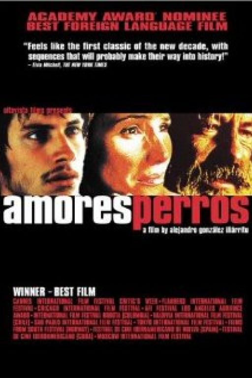 Amores perros