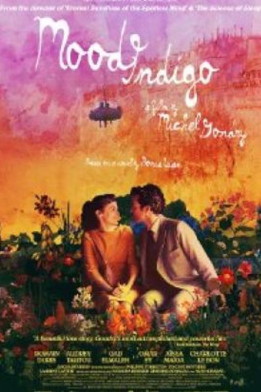 Mood Indigo - Der Schaum der Tage - L'écume des jours DVD2488+2518