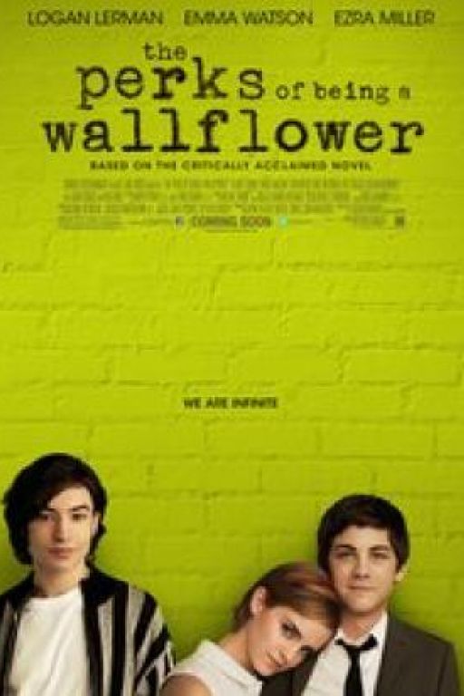 Vielleicht lieber morgen - The Perks of Being a Wallflower DVD10.020