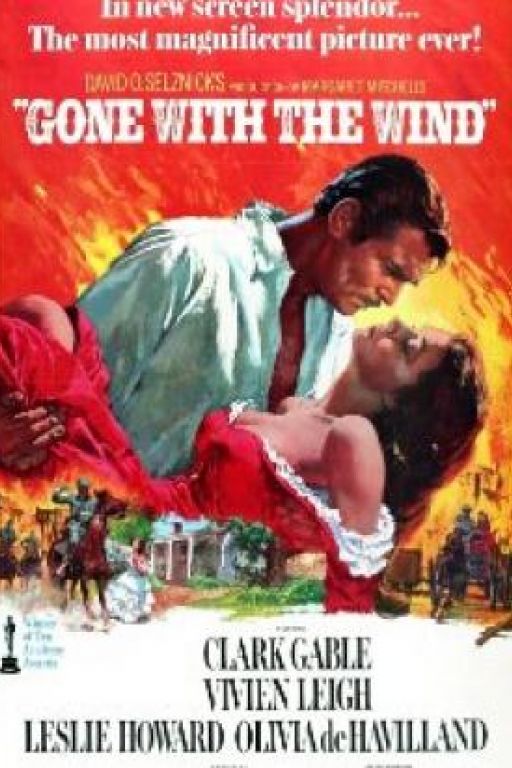 Vom Winde verweht - Gone with the Wind DVD 35