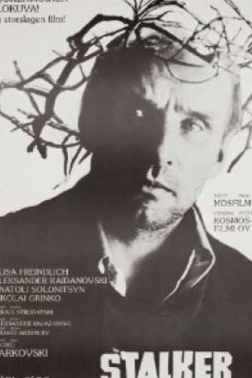Stalker DVD2827