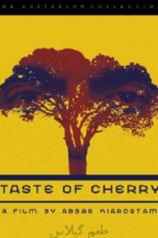 Taste of Cherry - Der Geschmack der Kirsche - Ta'm e guilass DVD5739